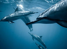 伊万谈国足名单:新一期有新人 每次都会有新面孔